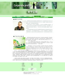 網(wǎng)頁設(shè)計(jì)模板 高效構(gòu)建專業(yè)網(wǎng)站的關(guān)鍵